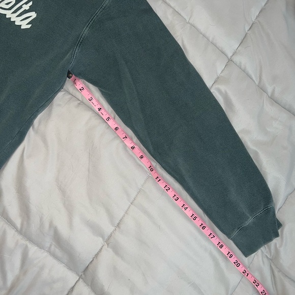 Comfort Colors Alpha Xi Delta (AXiD) crewneck - Picture 5 of 9